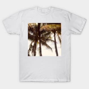 Tropical Sunny Palm Tree T-Shirt